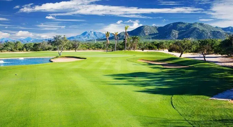 Best Golf Courses in Cabo San Lucas Mexico